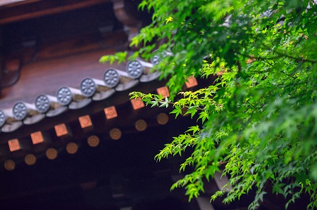 南昌大学<a href='http://www.iccd.org.cn/plus/list.php?tid=10' target='_blank'><u>同等学力申硕</u></a>会影响工作吗? 南昌大学<a href='http://www.iccd.org.cn/plus/list.php?tid=10' target='_blank'><u>同等学力申硕</u></a>会影响工作吗?